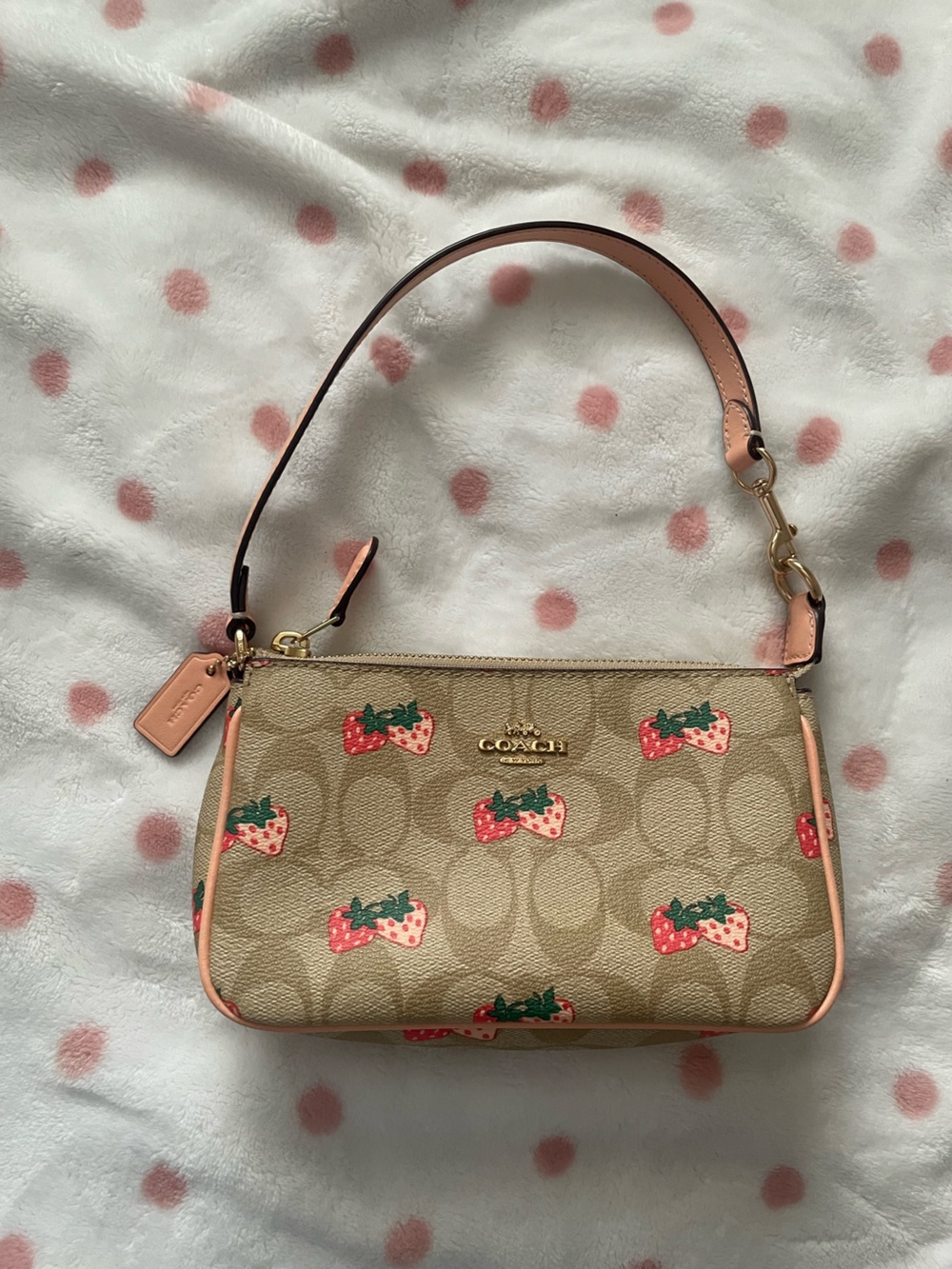 coach strawberry nolita 15